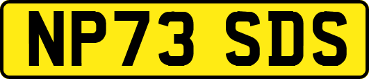 NP73SDS