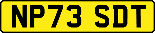 NP73SDT