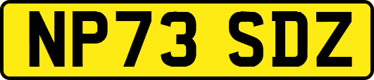 NP73SDZ