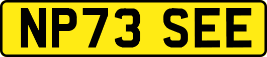 NP73SEE