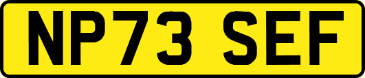 NP73SEF