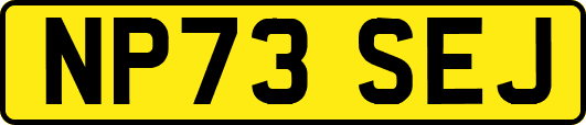NP73SEJ