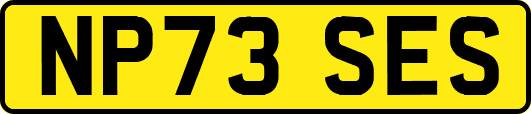 NP73SES