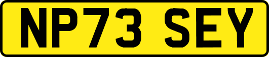 NP73SEY