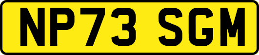 NP73SGM