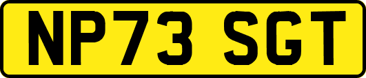 NP73SGT