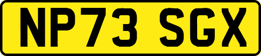 NP73SGX