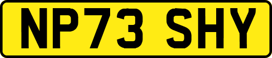 NP73SHY
