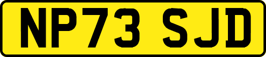 NP73SJD