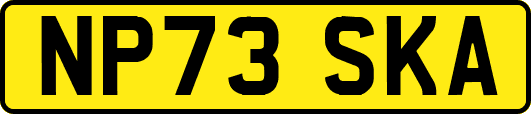 NP73SKA