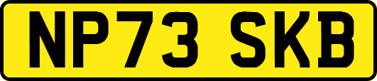 NP73SKB