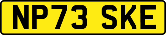 NP73SKE