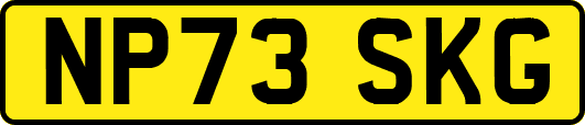NP73SKG