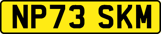 NP73SKM