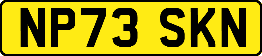 NP73SKN