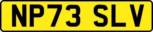 NP73SLV