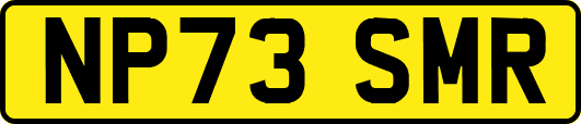 NP73SMR