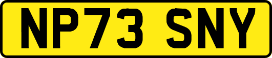 NP73SNY