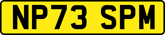 NP73SPM
