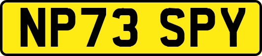 NP73SPY