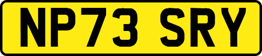 NP73SRY