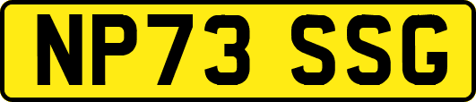 NP73SSG