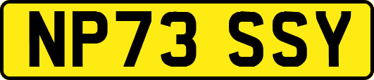 NP73SSY