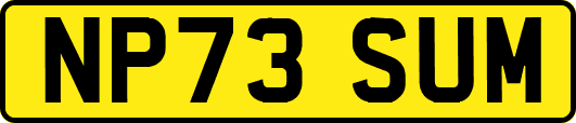 NP73SUM