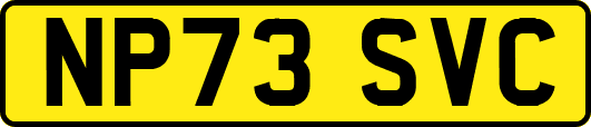 NP73SVC