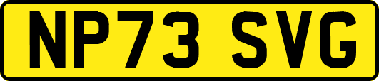NP73SVG