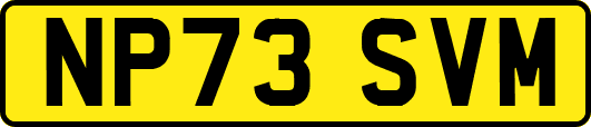 NP73SVM