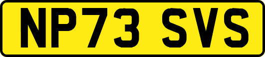 NP73SVS