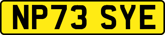 NP73SYE