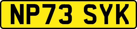 NP73SYK