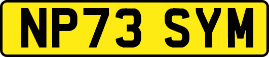 NP73SYM