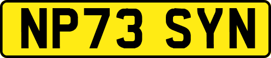 NP73SYN