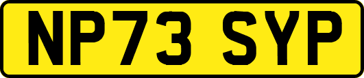 NP73SYP