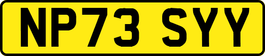 NP73SYY