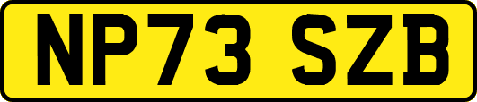 NP73SZB