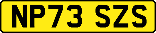 NP73SZS