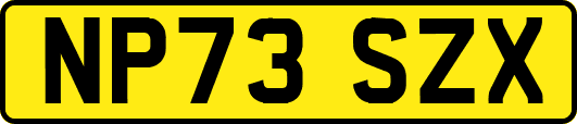 NP73SZX