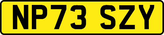 NP73SZY