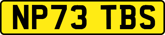NP73TBS
