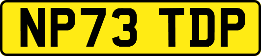 NP73TDP