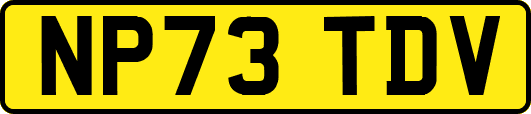NP73TDV