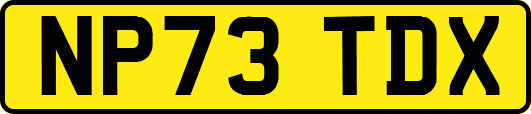 NP73TDX