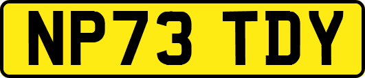 NP73TDY