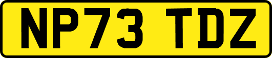 NP73TDZ