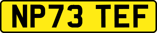 NP73TEF