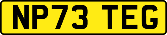 NP73TEG